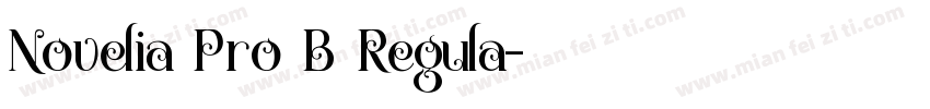 Novelia Pro B Regula字体转换